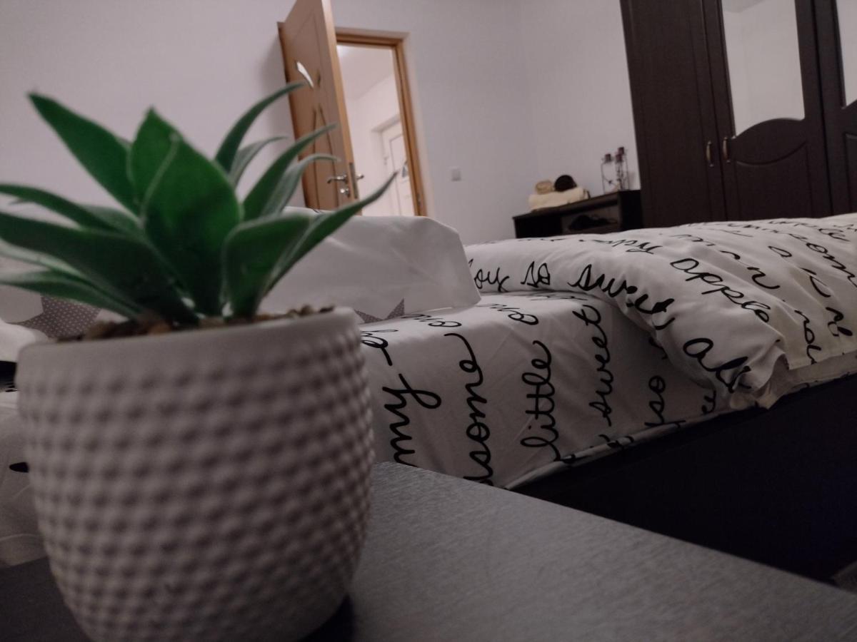 Casa Anastasiei Braşov Eksteriør bilde